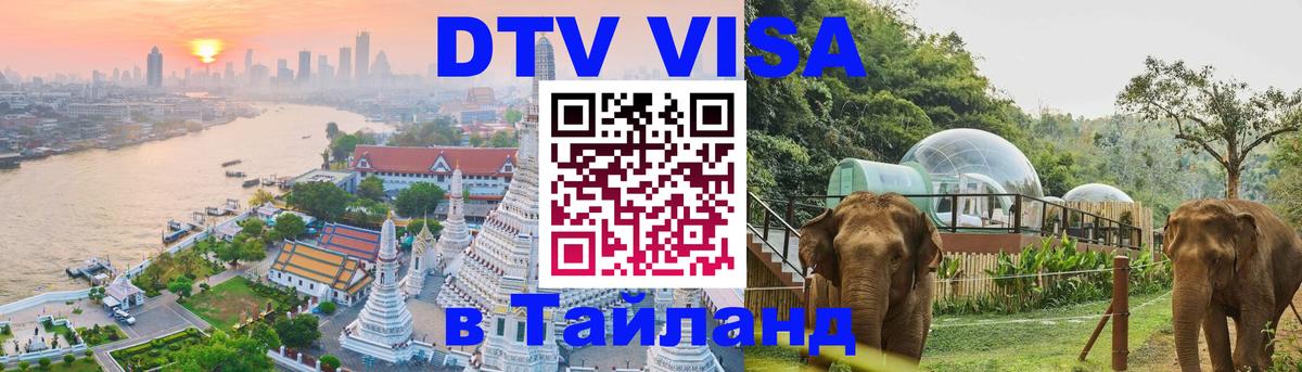 Сколько стоит DTV виза — актуальные цены, оформление даже без документов - 